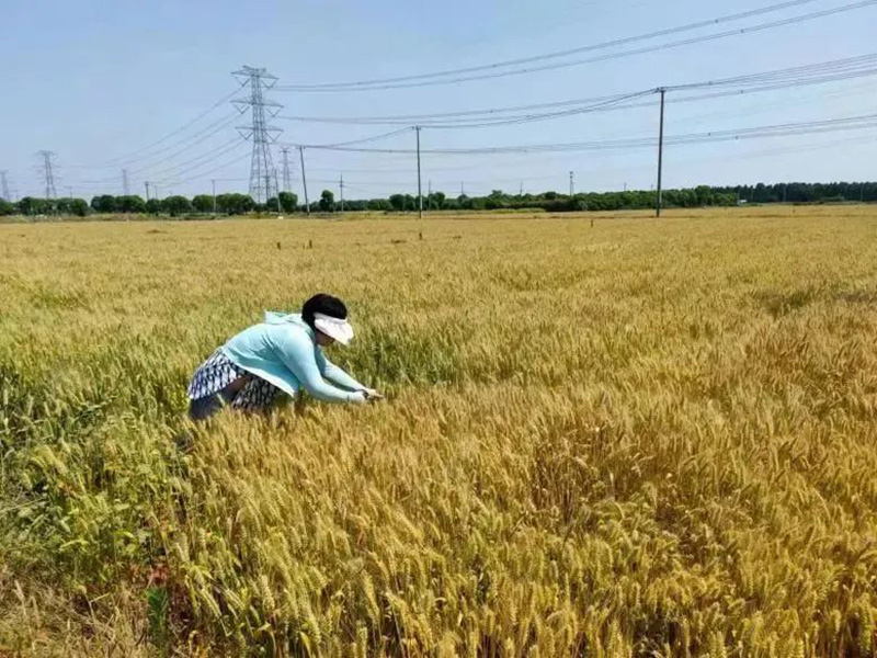 圖片關(guān)鍵詞