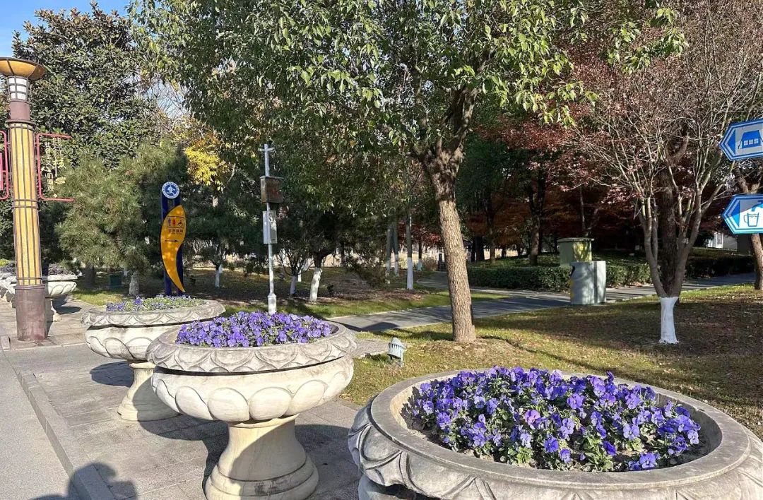 圖片關(guān)鍵詞 圖片