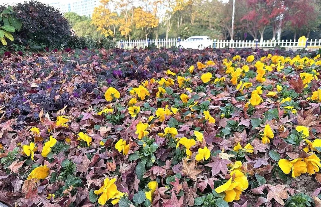 圖片關(guān)鍵詞 圖片