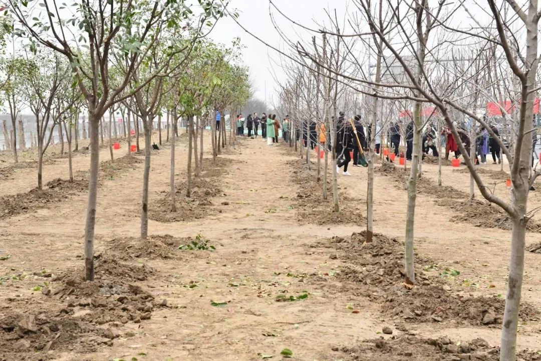 圖片關鍵詞 圖片