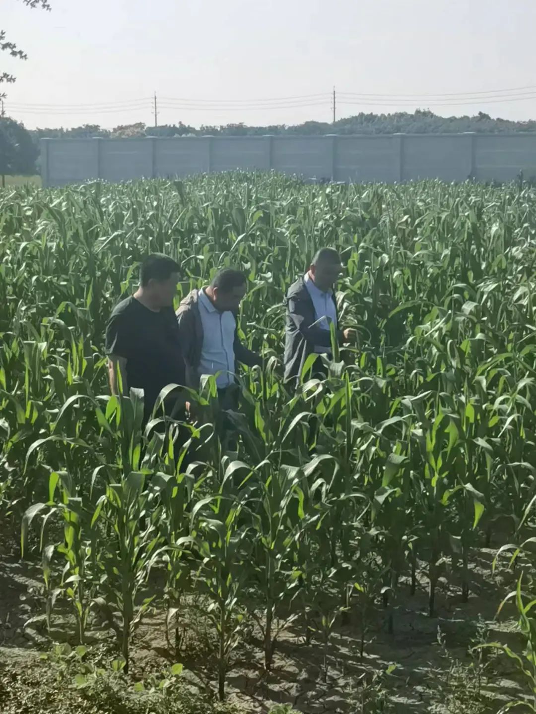 圖片關(guān)鍵詞 圖片