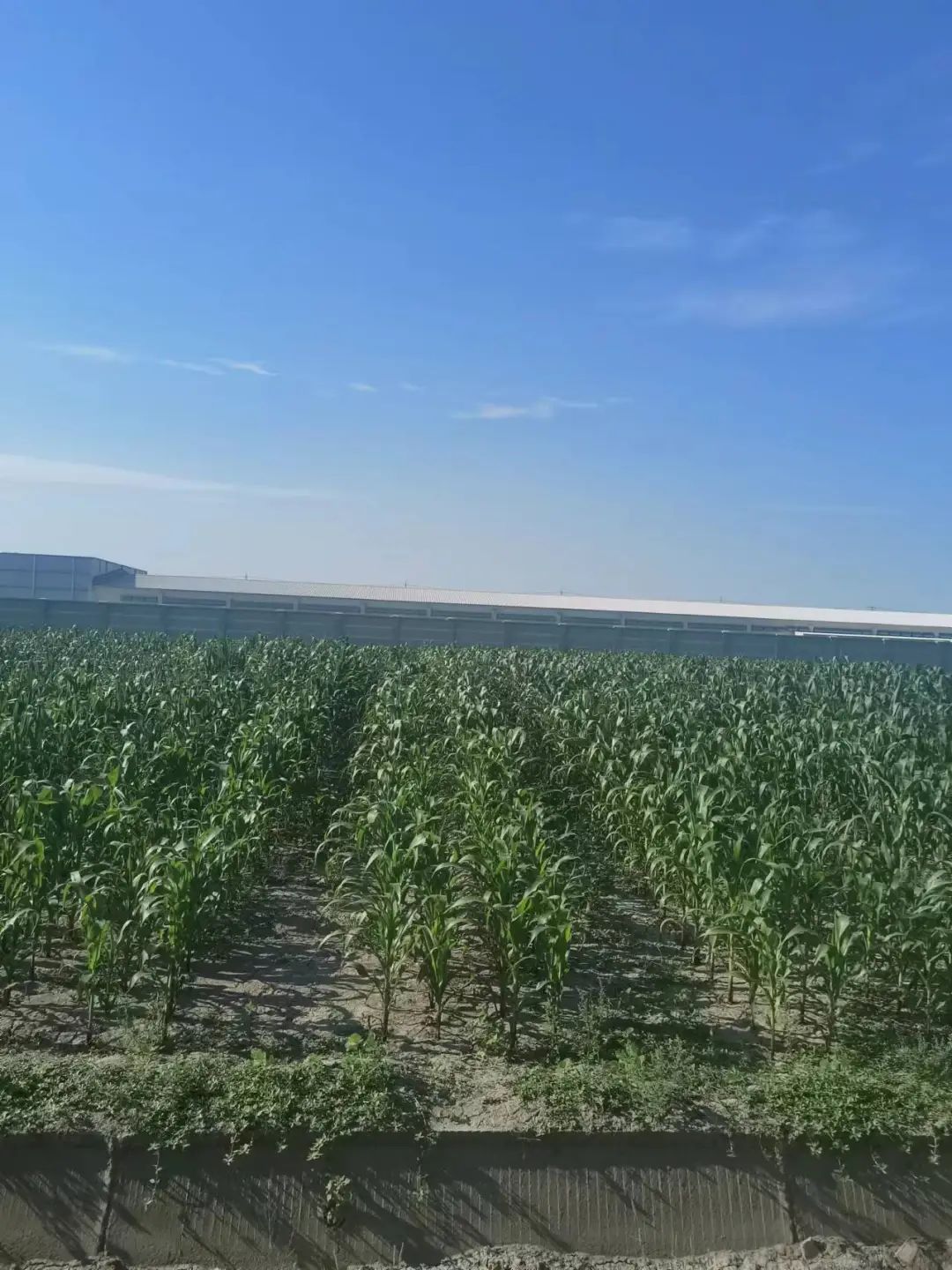 圖片關(guān)鍵詞 圖片