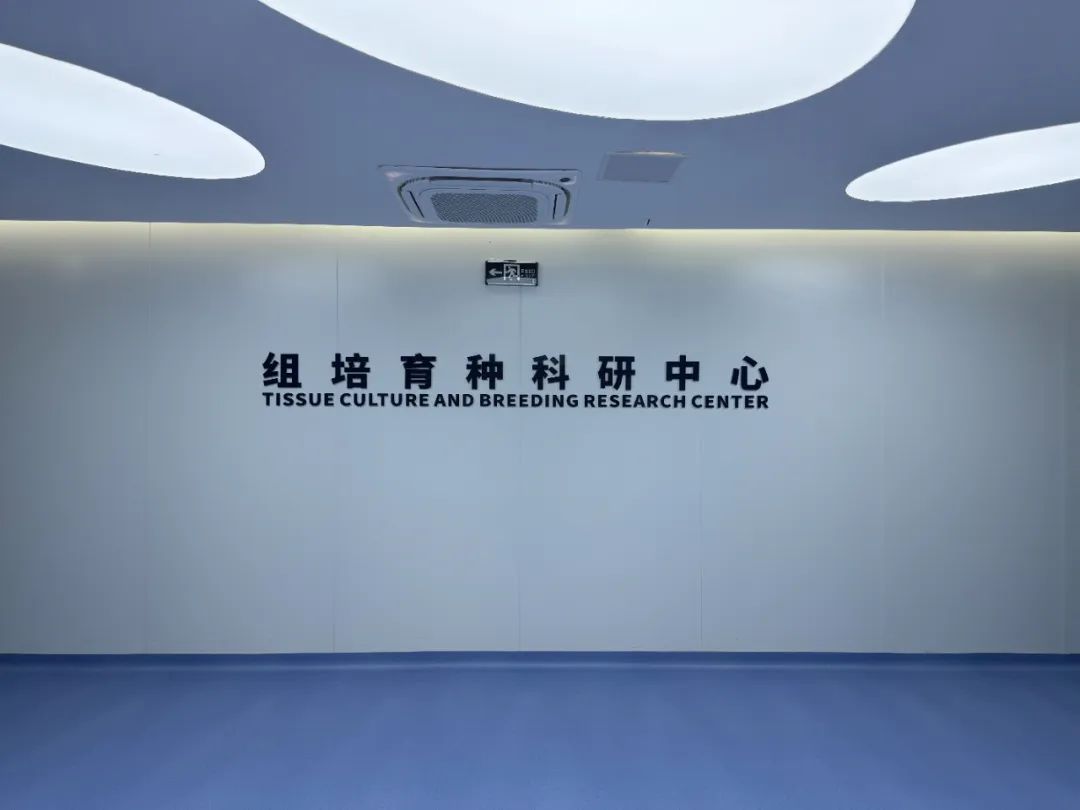 圖片關(guān)鍵詞 圖片