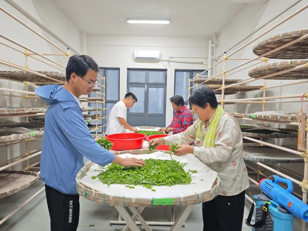 圖片關(guān)鍵詞 圖片