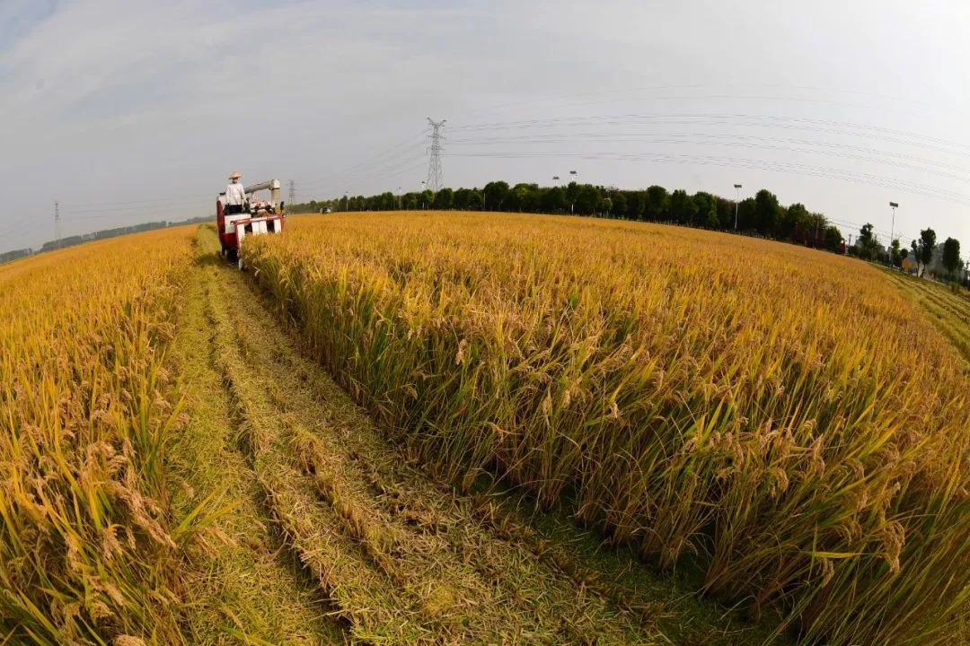 圖片關(guān)鍵詞 圖片