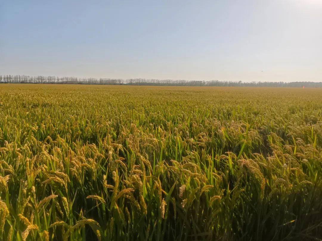 圖片關(guān)鍵詞 圖片