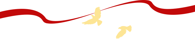 圖片關(guān)鍵詞 圖片