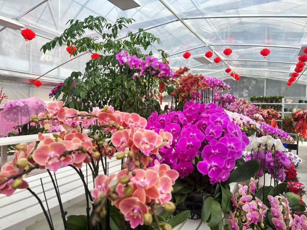 圖片關(guān)鍵詞 圖片